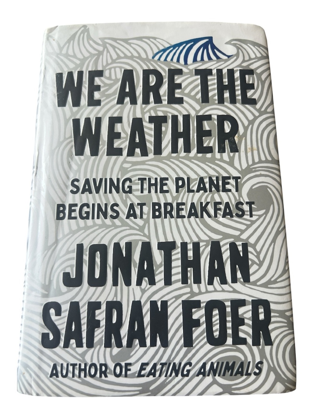 Jonathan Safran Foer - We Are the Weather (White/Grey Cover)